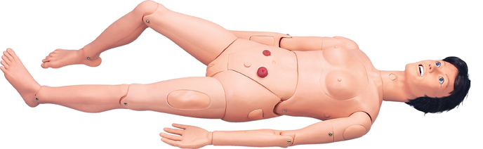 高級組合式基礎(chǔ)護(hù)理人訓(xùn)練模型 高級組合式基礎(chǔ)護(hù)理人訓(xùn)練模型