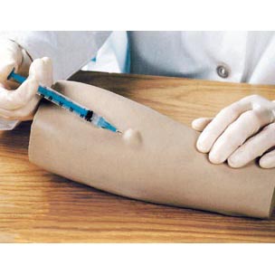 高級手臂皮內(nèi)注射模型 高級手臂皮內(nèi)注射模型