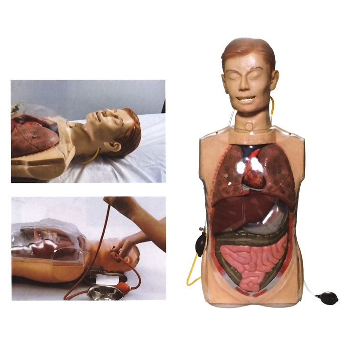 多功能透明洗胃訓(xùn)練模型 多功能透明洗胃訓(xùn)練模型