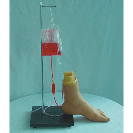 下肢足部靜脈注射仿真模型 下肢足部靜脈注射仿真模型