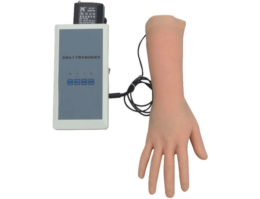 高級電子手部靜脈穿刺訓練模型 高級電子手部靜脈穿刺訓練模型