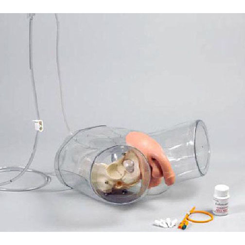 透明男性導(dǎo)尿模型 透明男性導(dǎo)尿模型