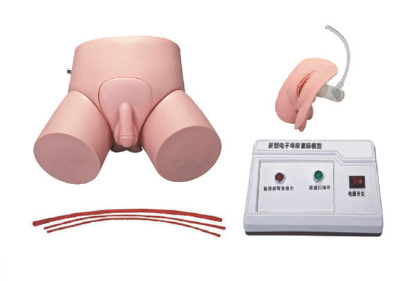 電子導(dǎo)尿灌腸教學(xué)實習(xí)模型 電子導(dǎo)尿灌腸教學(xué)實習(xí)模型