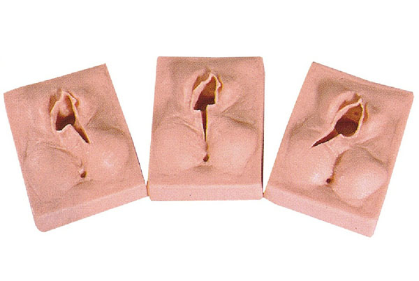 ��ꎿp�Ͼ���(x��)ģ��