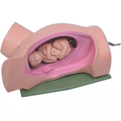 ģ�M����,����C(j��)ģ��