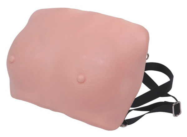 �߼�(j��)�鷿�z��ģ��