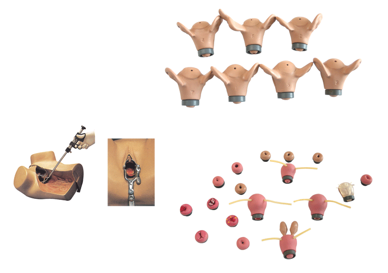 �߼�(j��)�D�ƾC�ϙz��Ӗ(x��n)��ģ��