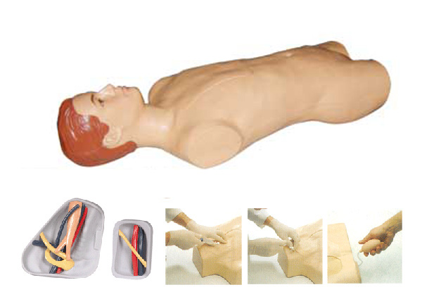 中心靜脈穿刺注射軀干模型 中心靜脈穿刺注射軀干模型