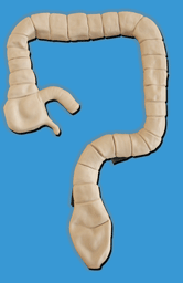 �Ҡ�Y(ji��)�c�R�z��ģ��