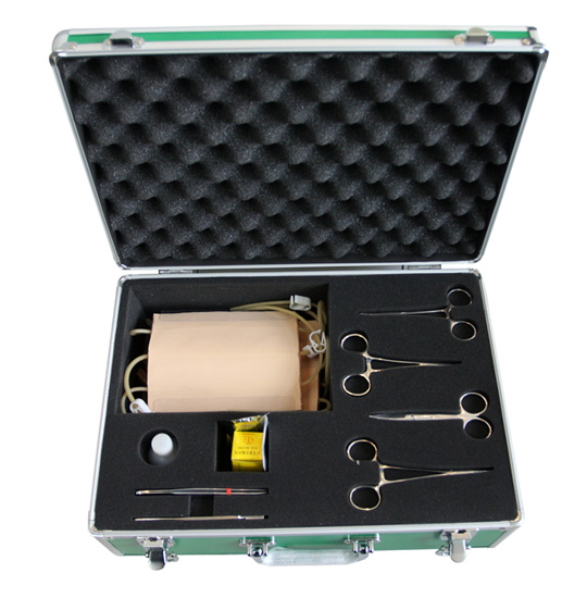 表面血管結(jié)扎止血模型 表面血管結(jié)扎止血模型