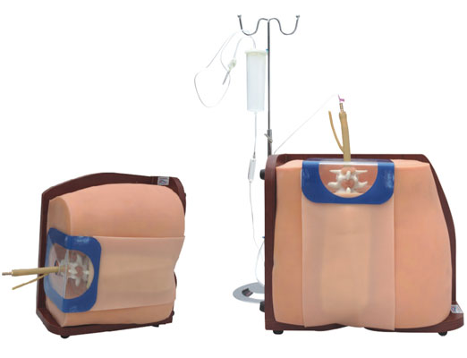 脊椎穿刺模型 脊椎穿刺模型