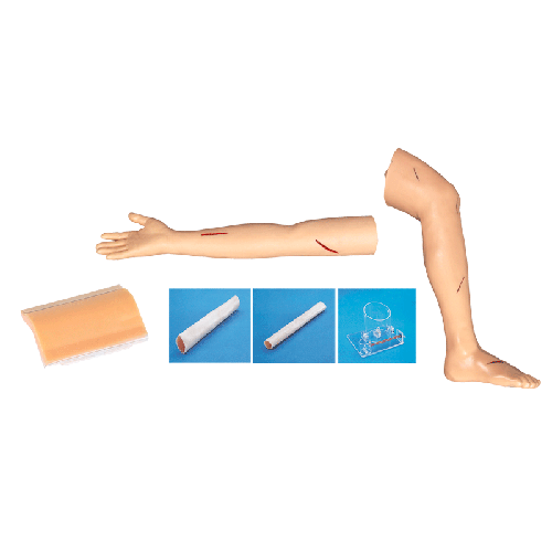 ��ƾC�ϼ���Ӗ(x��n)���M��ģ��