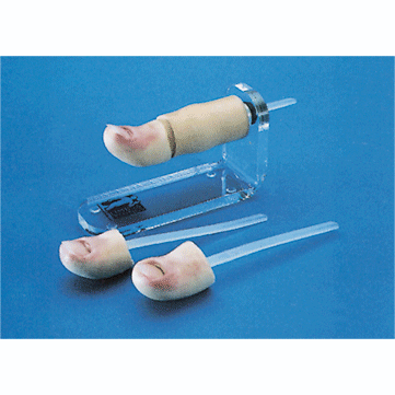 �μ��g����ģ�K