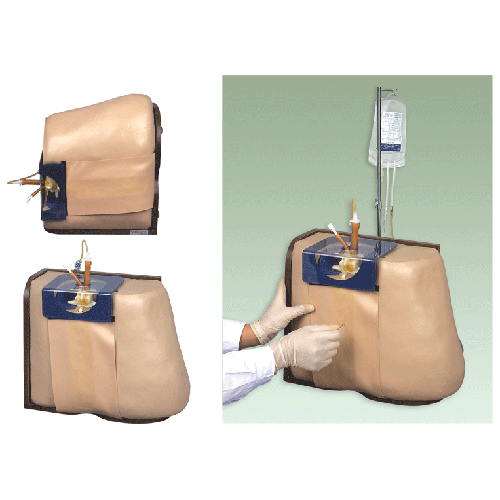 ��������ģ��