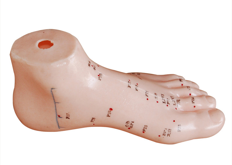 足針灸模型 13cm 足針灸模型 13cm