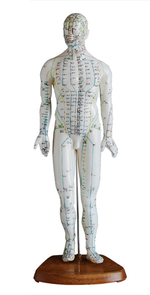 人體針灸模型(男性) 高46cm 人體針灸模型(男性) 高46cm