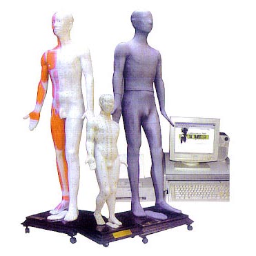 ��ý�w���wᘾ�Ѩλ�l(f��)��ģ��