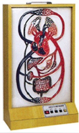 大、小循環(huán)電動模型 大、小循環(huán)電動模型