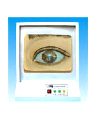 瞳孔調(diào)節(jié)模型(光控) 瞳孔調(diào)節(jié)模型(光控)