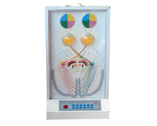 視覺傳導瞳孔對光反射電動模型 視覺傳導瞳孔對光反射電動模型