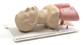 Ų��Ų�ȼ���Ӗ(x��n)��ģ��,�M(j��n)��ģ�M��