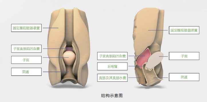 ꎵ���������̱O(ji��n)�y����ָ��(d��o)ģ��,ģ��