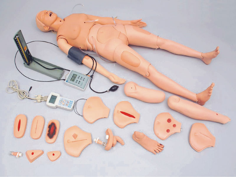 高級成人護理模型(升級版) 高級成人護理模型(升級版)