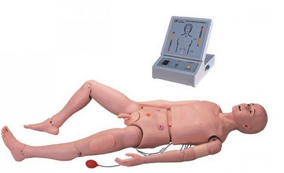 高級成人護理及CPR模型人 高級成人護理及CPR模型人